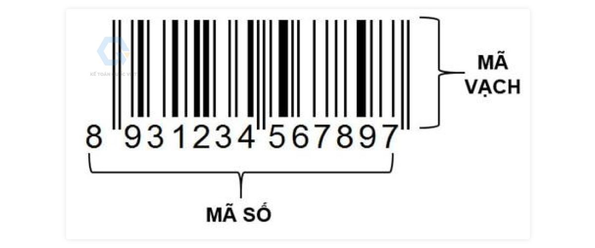 TT Mã số mã vạch