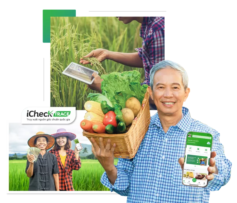 QR Code Bảo Hành