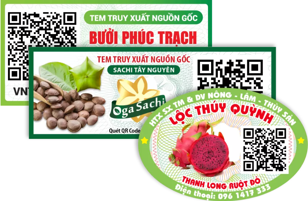 Ảnh vận hành dữ liệu