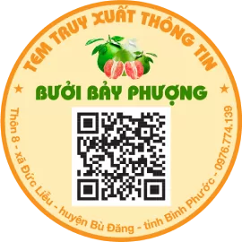 Logo 3