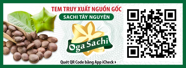 Logo 6