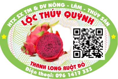 Logo 7